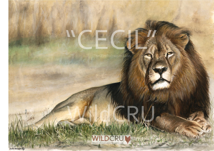 Cecil by Jurik Designs