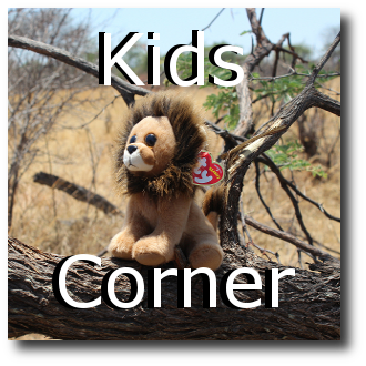 kids_corner_thumbnail