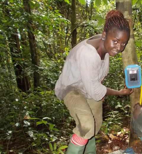 Malenoh setting up a camera trap in Ebo forest, Cameroon