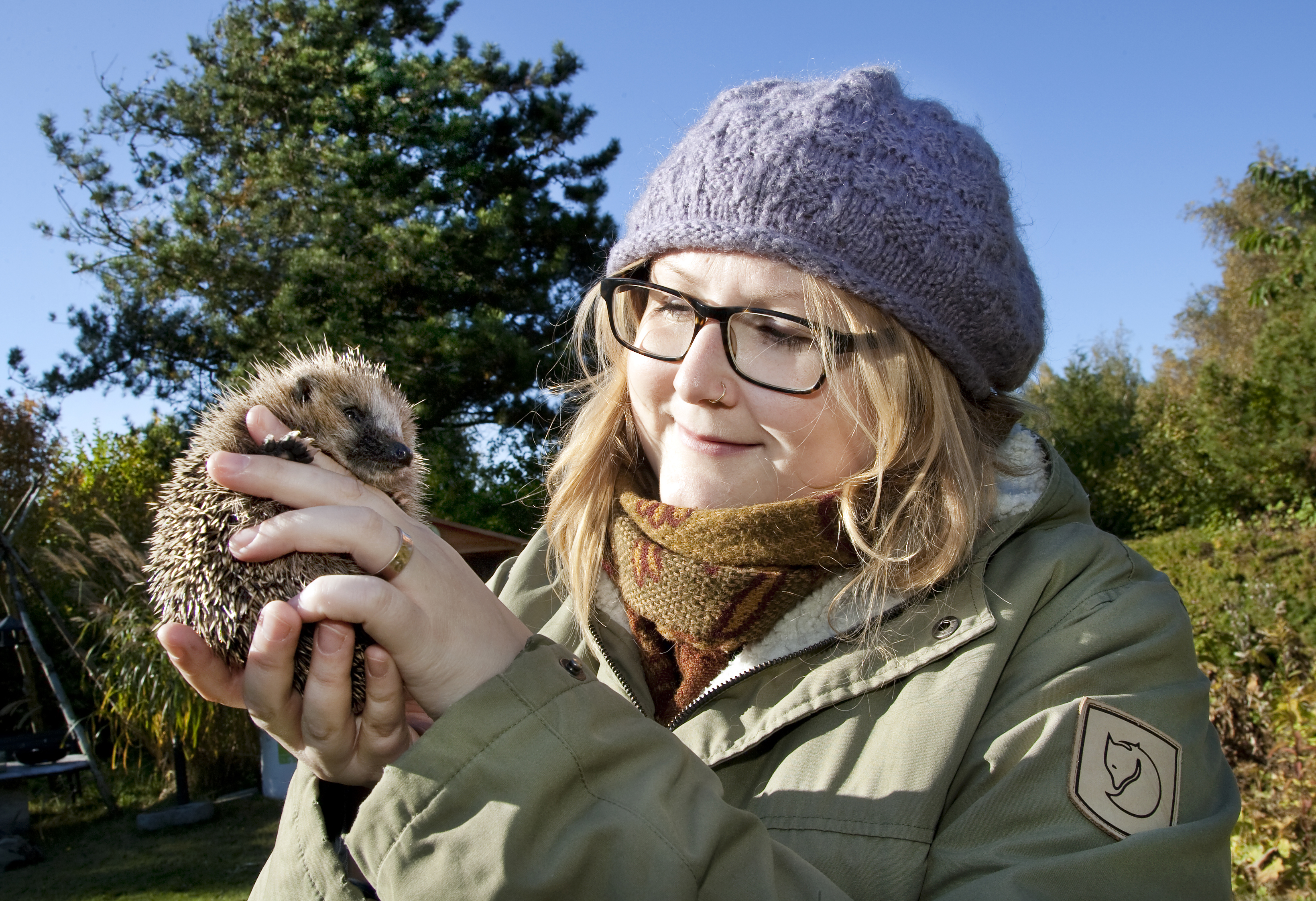 Hedgehog and Dr Sophie Lund Rasmussen