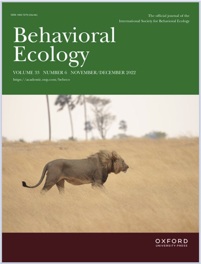 Something in the wind: the influence of wind speed and direction on African  lion movement behavior | WildCRU